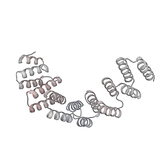 11360_6zqd_JI_v1-1
Cryo-EM structure of the 90S pre-ribosome from Saccharomyces cerevisiae, state Post-A1