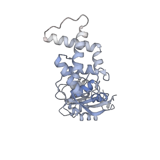 11360_6zqd_JL_v1-1
Cryo-EM structure of the 90S pre-ribosome from Saccharomyces cerevisiae, state Post-A1