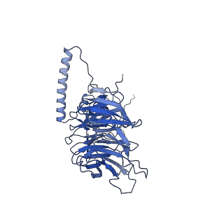 11360_6zqd_JP_v1-1
Cryo-EM structure of the 90S pre-ribosome from Saccharomyces cerevisiae, state Post-A1