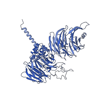 11360_6zqd_UA_v1-1
Cryo-EM structure of the 90S pre-ribosome from Saccharomyces cerevisiae, state Post-A1