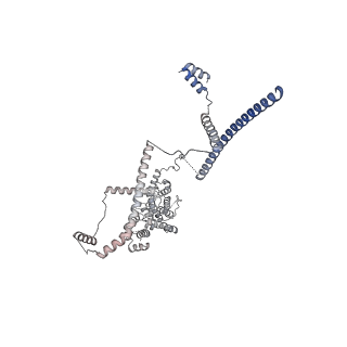 11360_6zqd_UB_v1-1
Cryo-EM structure of the 90S pre-ribosome from Saccharomyces cerevisiae, state Post-A1