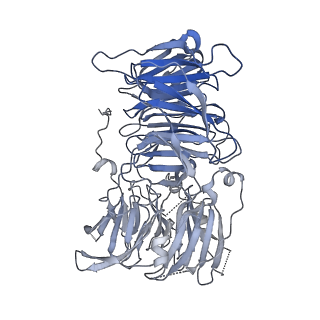 11360_6zqd_UD_v1-1
Cryo-EM structure of the 90S pre-ribosome from Saccharomyces cerevisiae, state Post-A1