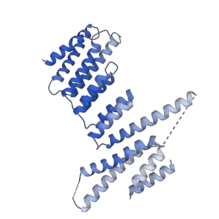 11360_6zqd_UF_v1-1
Cryo-EM structure of the 90S pre-ribosome from Saccharomyces cerevisiae, state Post-A1