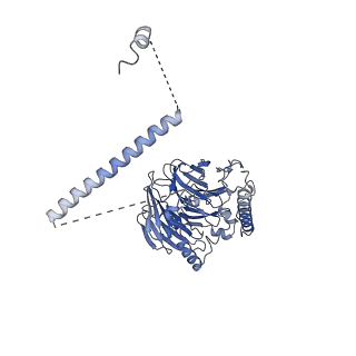 11360_6zqd_UG_v1-1
Cryo-EM structure of the 90S pre-ribosome from Saccharomyces cerevisiae, state Post-A1