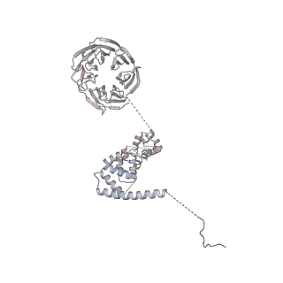 11360_6zqd_UH_v1-1
Cryo-EM structure of the 90S pre-ribosome from Saccharomyces cerevisiae, state Post-A1
