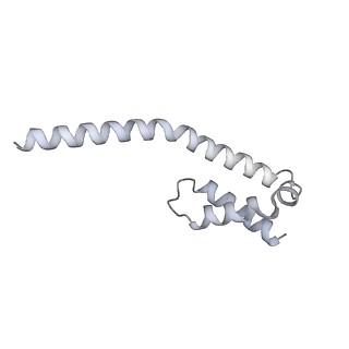 11360_6zqd_UI_v1-1
Cryo-EM structure of the 90S pre-ribosome from Saccharomyces cerevisiae, state Post-A1