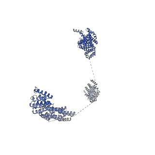 11360_6zqd_UJ_v1-1
Cryo-EM structure of the 90S pre-ribosome from Saccharomyces cerevisiae, state Post-A1