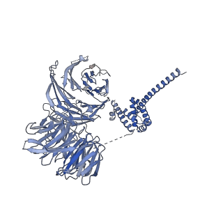 11360_6zqd_UL_v1-1
Cryo-EM structure of the 90S pre-ribosome from Saccharomyces cerevisiae, state Post-A1