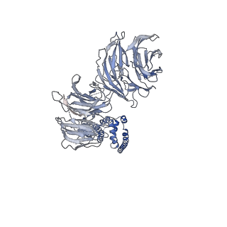 11360_6zqd_UM_v1-1
Cryo-EM structure of the 90S pre-ribosome from Saccharomyces cerevisiae, state Post-A1