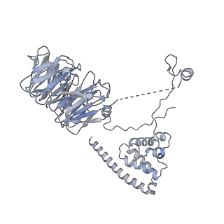 11360_6zqd_UO_v1-1
Cryo-EM structure of the 90S pre-ribosome from Saccharomyces cerevisiae, state Post-A1