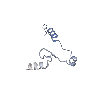 11360_6zqd_UP_v1-1
Cryo-EM structure of the 90S pre-ribosome from Saccharomyces cerevisiae, state Post-A1