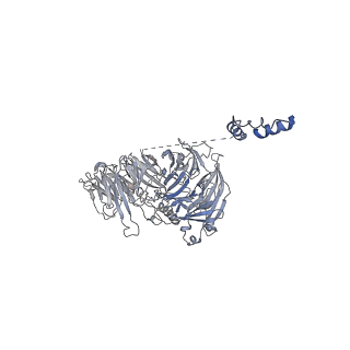 11360_6zqd_UQ_v1-1
Cryo-EM structure of the 90S pre-ribosome from Saccharomyces cerevisiae, state Post-A1
