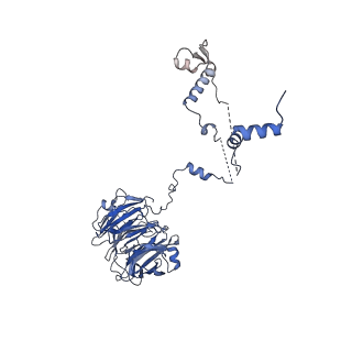 11360_6zqd_UR_v1-1
Cryo-EM structure of the 90S pre-ribosome from Saccharomyces cerevisiae, state Post-A1