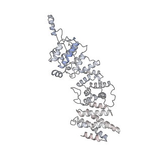 11360_6zqd_US_v1-1
Cryo-EM structure of the 90S pre-ribosome from Saccharomyces cerevisiae, state Post-A1