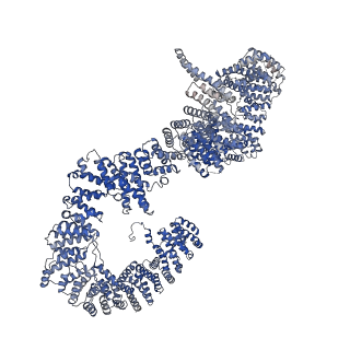11360_6zqd_UT_v1-1
Cryo-EM structure of the 90S pre-ribosome from Saccharomyces cerevisiae, state Post-A1