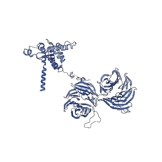 11360_6zqd_UU_v1-1
Cryo-EM structure of the 90S pre-ribosome from Saccharomyces cerevisiae, state Post-A1