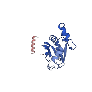 11360_6zqd_UX_v1-1
Cryo-EM structure of the 90S pre-ribosome from Saccharomyces cerevisiae, state Post-A1