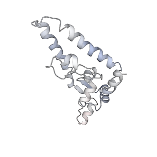 11362_6zqf_CI_v1-1
Cryo-EM structure of the 90S pre-ribosome from Saccharomyces cerevisiae, state Dis-B (Poly-Ala)