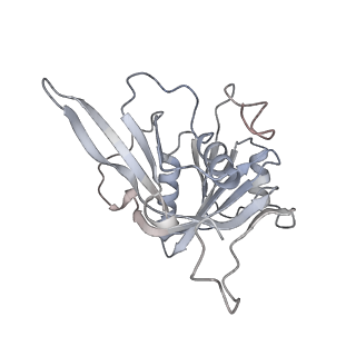 11362_6zqf_CJ_v1-1
Cryo-EM structure of the 90S pre-ribosome from Saccharomyces cerevisiae, state Dis-B (Poly-Ala)