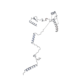 11362_6zqf_CK_v1-1
Cryo-EM structure of the 90S pre-ribosome from Saccharomyces cerevisiae, state Dis-B (Poly-Ala)