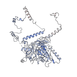 11362_6zqf_CL_v1-1
Cryo-EM structure of the 90S pre-ribosome from Saccharomyces cerevisiae, state Dis-B (Poly-Ala)