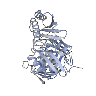 11362_6zqf_CM_v1-1
Cryo-EM structure of the 90S pre-ribosome from Saccharomyces cerevisiae, state Dis-B (Poly-Ala)