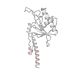 11362_6zqf_CN_v1-1
Cryo-EM structure of the 90S pre-ribosome from Saccharomyces cerevisiae, state Dis-B (Poly-Ala)