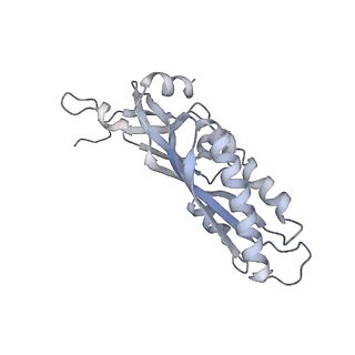 11362_6zqf_DA_v1-1
Cryo-EM structure of the 90S pre-ribosome from Saccharomyces cerevisiae, state Dis-B (Poly-Ala)