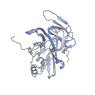 11362_6zqf_DE_v1-1
Cryo-EM structure of the 90S pre-ribosome from Saccharomyces cerevisiae, state Dis-B (Poly-Ala)