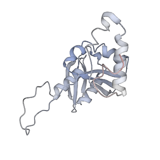 11362_6zqf_DH_v1-1
Cryo-EM structure of the 90S pre-ribosome from Saccharomyces cerevisiae, state Dis-B (Poly-Ala)