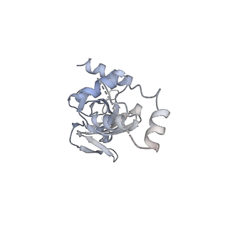 11362_6zqf_DI_v1-1
Cryo-EM structure of the 90S pre-ribosome from Saccharomyces cerevisiae, state Dis-B (Poly-Ala)