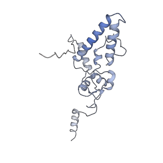 11362_6zqf_DJ_v1-1
Cryo-EM structure of the 90S pre-ribosome from Saccharomyces cerevisiae, state Dis-B (Poly-Ala)