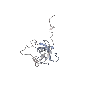 11362_6zqf_DL_v1-1
Cryo-EM structure of the 90S pre-ribosome from Saccharomyces cerevisiae, state Dis-B (Poly-Ala)