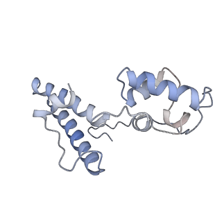 11362_6zqf_DN_v1-1
Cryo-EM structure of the 90S pre-ribosome from Saccharomyces cerevisiae, state Dis-B (Poly-Ala)