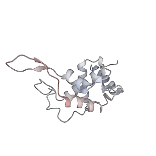 11362_6zqf_DT_v1-1
Cryo-EM structure of the 90S pre-ribosome from Saccharomyces cerevisiae, state Dis-B (Poly-Ala)