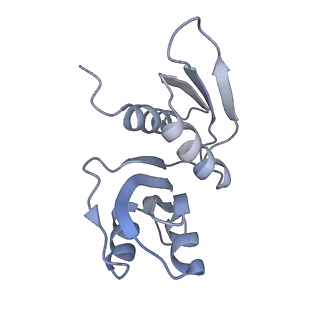 11362_6zqf_DW_v1-1
Cryo-EM structure of the 90S pre-ribosome from Saccharomyces cerevisiae, state Dis-B (Poly-Ala)