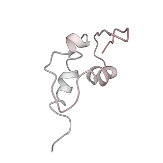 11362_6zqf_DZ_v1-1
Cryo-EM structure of the 90S pre-ribosome from Saccharomyces cerevisiae, state Dis-B (Poly-Ala)