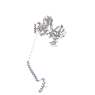 11362_6zqf_JD_v1-1
Cryo-EM structure of the 90S pre-ribosome from Saccharomyces cerevisiae, state Dis-B (Poly-Ala)