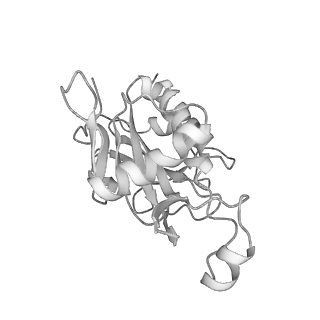 11362_6zqf_JF_v1-1
Cryo-EM structure of the 90S pre-ribosome from Saccharomyces cerevisiae, state Dis-B (Poly-Ala)