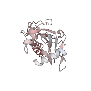 11362_6zqf_JG_v1-1
Cryo-EM structure of the 90S pre-ribosome from Saccharomyces cerevisiae, state Dis-B (Poly-Ala)