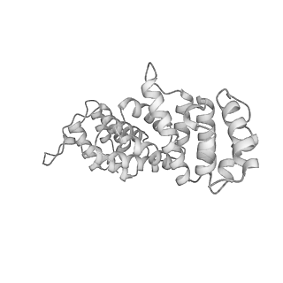 11362_6zqf_JH_v1-1
Cryo-EM structure of the 90S pre-ribosome from Saccharomyces cerevisiae, state Dis-B (Poly-Ala)