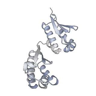 11362_6zqf_JJ_v1-1
Cryo-EM structure of the 90S pre-ribosome from Saccharomyces cerevisiae, state Dis-B (Poly-Ala)