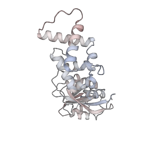 11362_6zqf_JL_v1-1
Cryo-EM structure of the 90S pre-ribosome from Saccharomyces cerevisiae, state Dis-B (Poly-Ala)