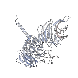 11362_6zqf_UA_v1-1
Cryo-EM structure of the 90S pre-ribosome from Saccharomyces cerevisiae, state Dis-B (Poly-Ala)