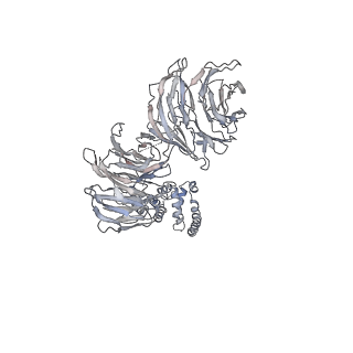 11362_6zqf_UM_v1-1
Cryo-EM structure of the 90S pre-ribosome from Saccharomyces cerevisiae, state Dis-B (Poly-Ala)