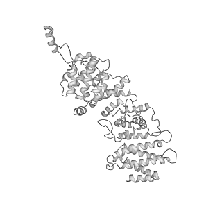 11362_6zqf_US_v1-1
Cryo-EM structure of the 90S pre-ribosome from Saccharomyces cerevisiae, state Dis-B (Poly-Ala)