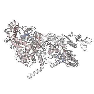 11362_6zqf_UV_v1-1
Cryo-EM structure of the 90S pre-ribosome from Saccharomyces cerevisiae, state Dis-B (Poly-Ala)