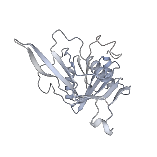 11363_6zqg_CJ_v2-0
Cryo-EM structure of the 90S pre-ribosome from Saccharomyces cerevisiae, state Dis-C