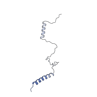 11363_6zqg_CK_v2-0
Cryo-EM structure of the 90S pre-ribosome from Saccharomyces cerevisiae, state Dis-C