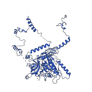 11363_6zqg_CL_v1-1
Cryo-EM structure of the 90S pre-ribosome from Saccharomyces cerevisiae, state Dis-C